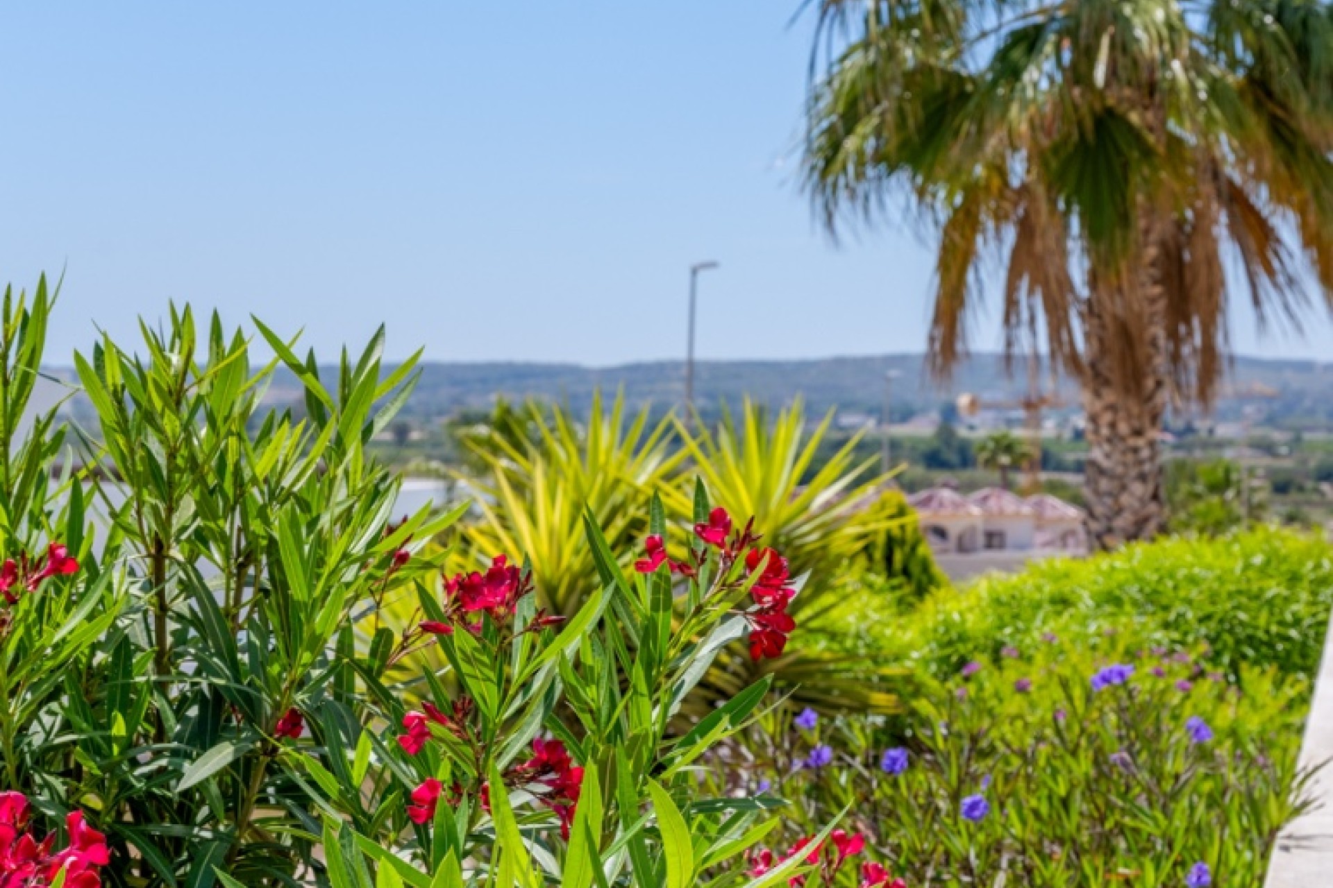 Prodej - Villa - La Marina