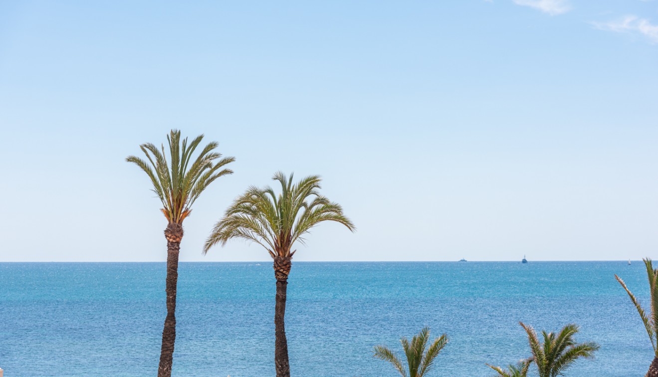 Prodej - Villa - Torrevieja - La veleta