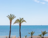 Prodej - Villa - Torrevieja - La veleta