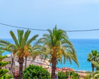 Prodej - Villa - Torrevieja