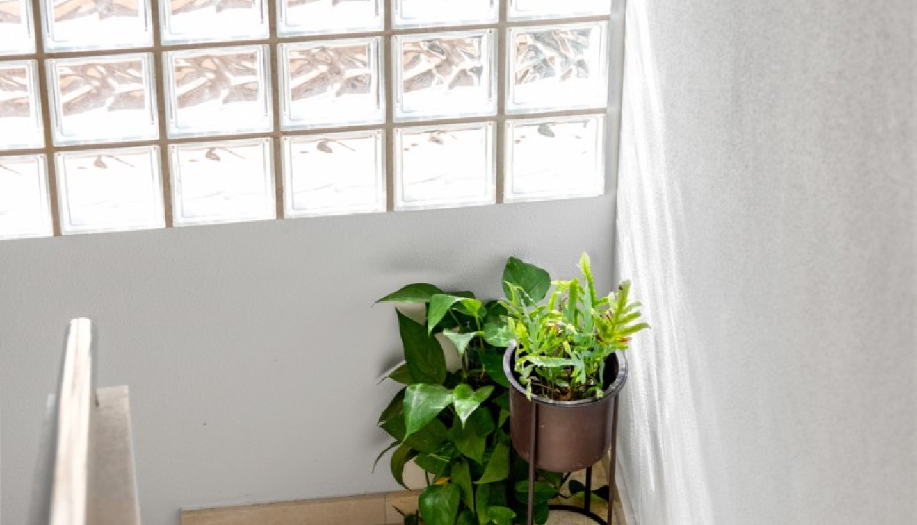 Sale - Adosado - Ciudad Quesada - Rojales - Doña pepa