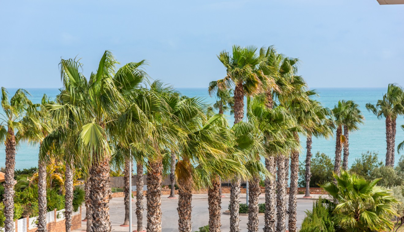 Sale - Apartment - Cabo Roig