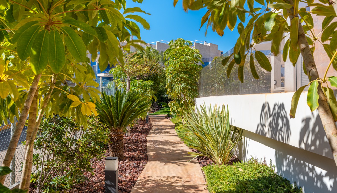 Sale - Apartment - Cabo Roig