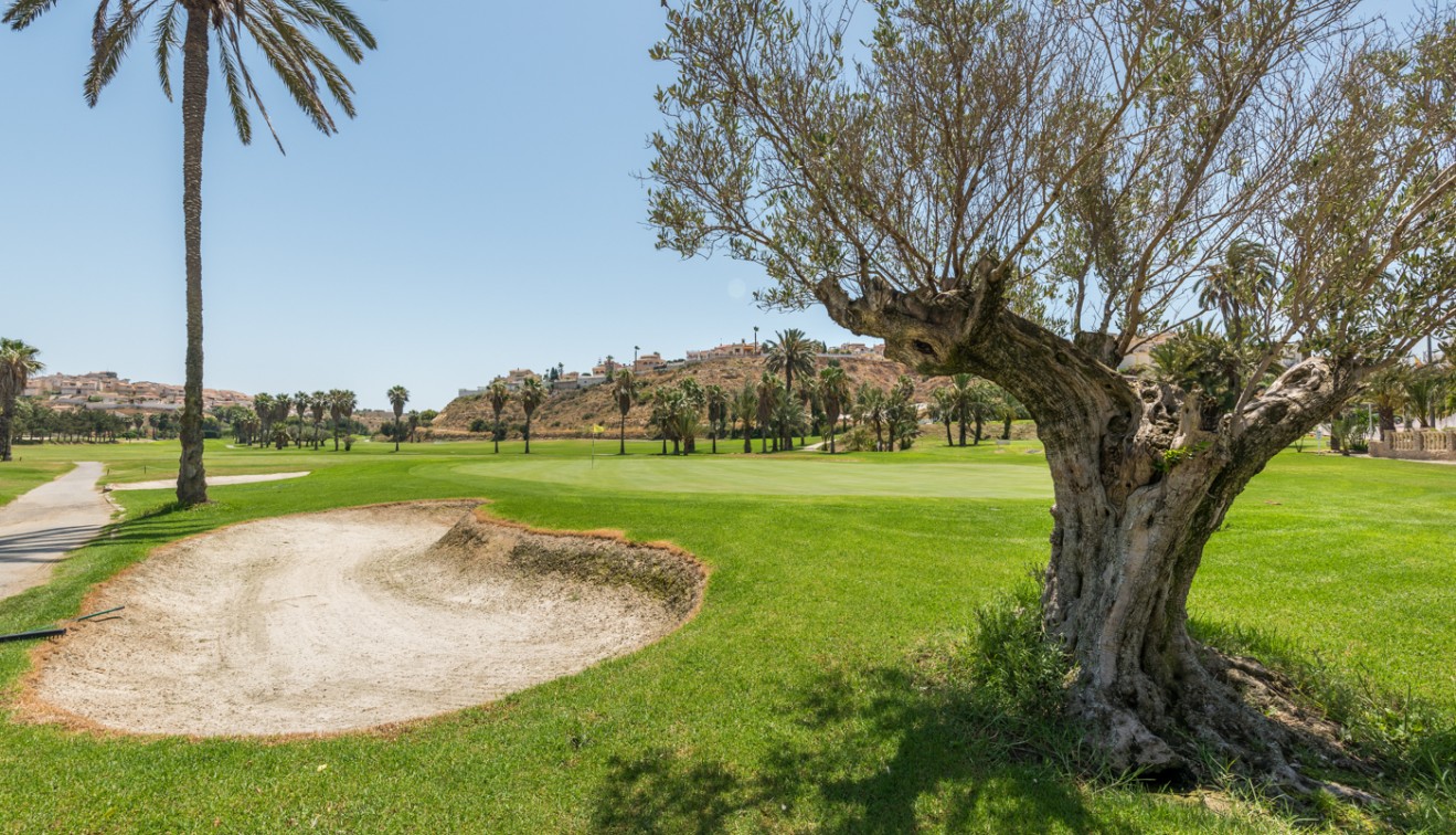 Sale - Apartment - El Raso