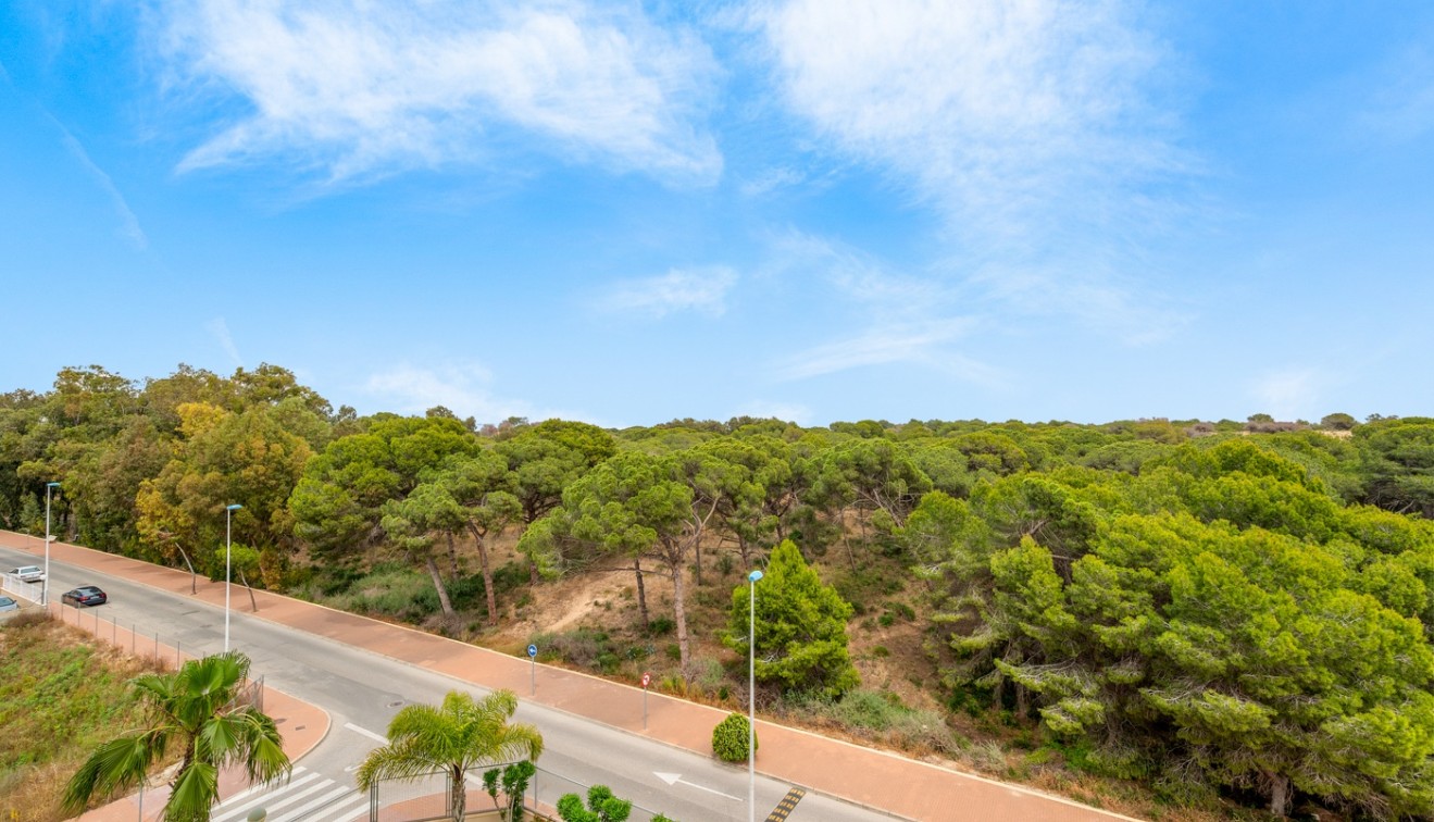 Sale - Apartment - Guardamar del Segura