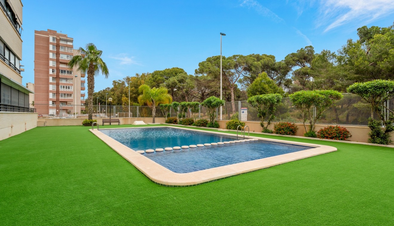 Sale - Apartment - Guardamar del Segura