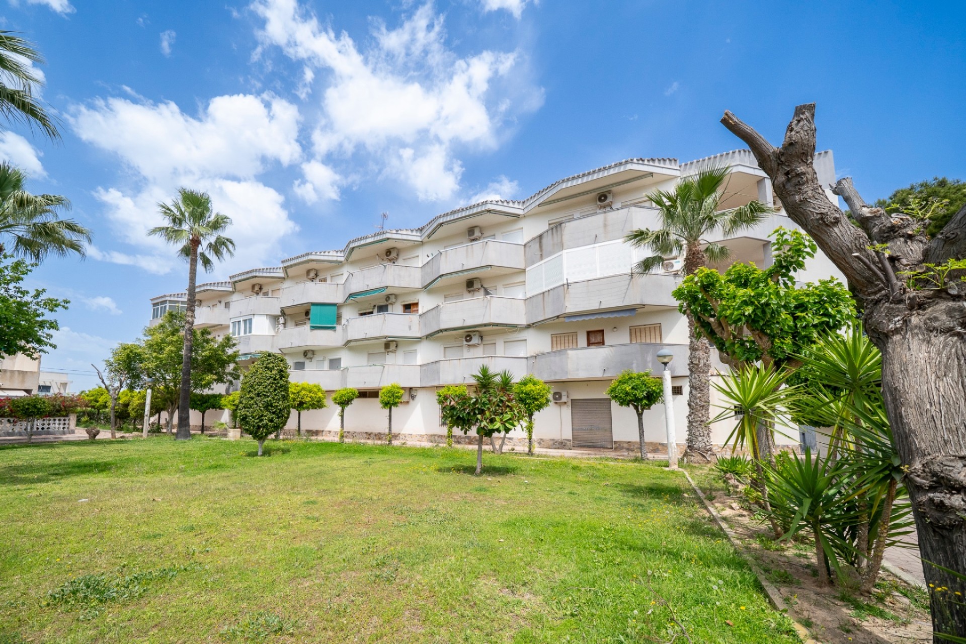 Sale - Apartment - Orihuela costa - Cabo Roig