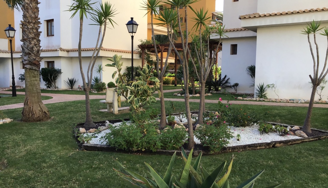 Sale - Apartment - Punta Prima