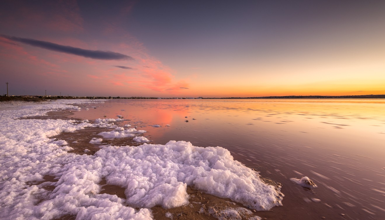 Sale - Apartment - Punta Prima