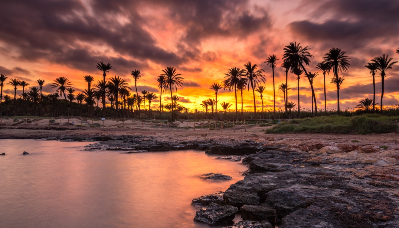 Sale - Apartment - Punta Prima