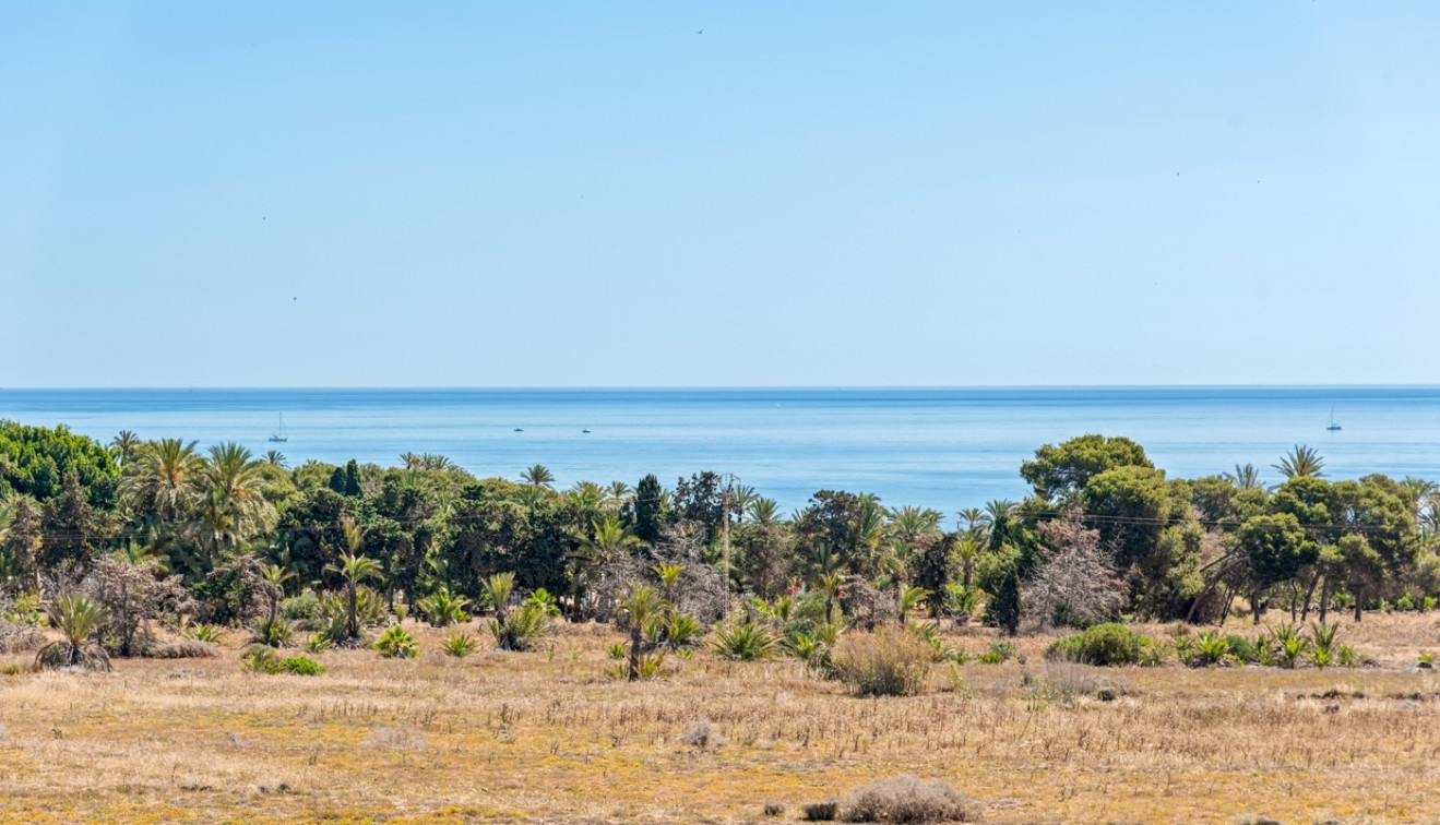 Sale - Apartment - Torrevieja