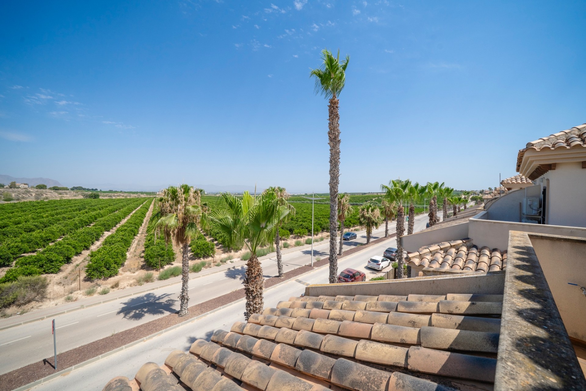 Sale - Bungalow - Algorfa