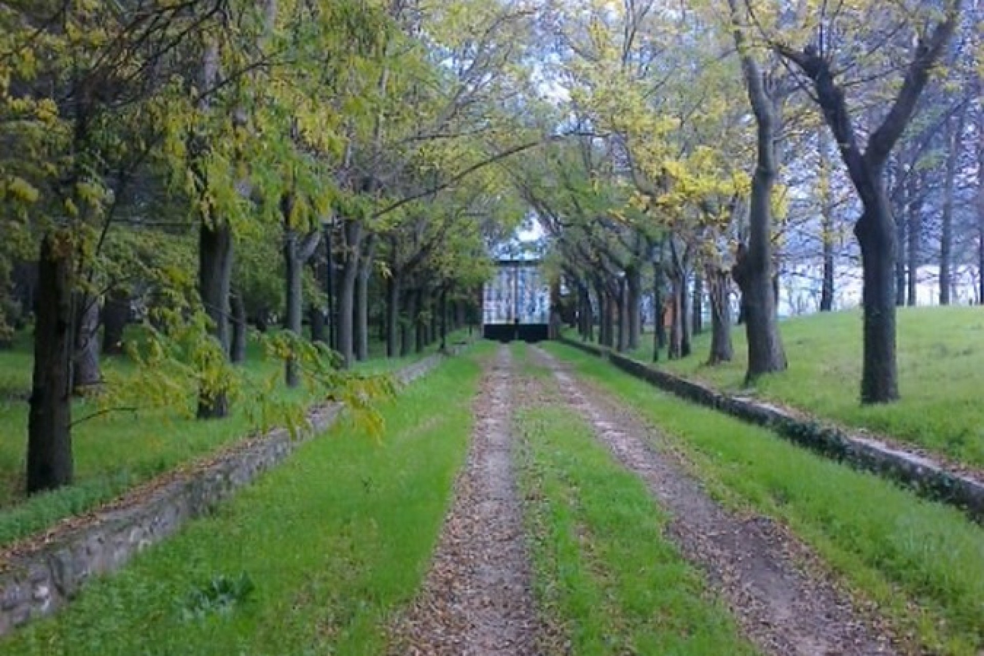 Sale - Commercial - Benidorm