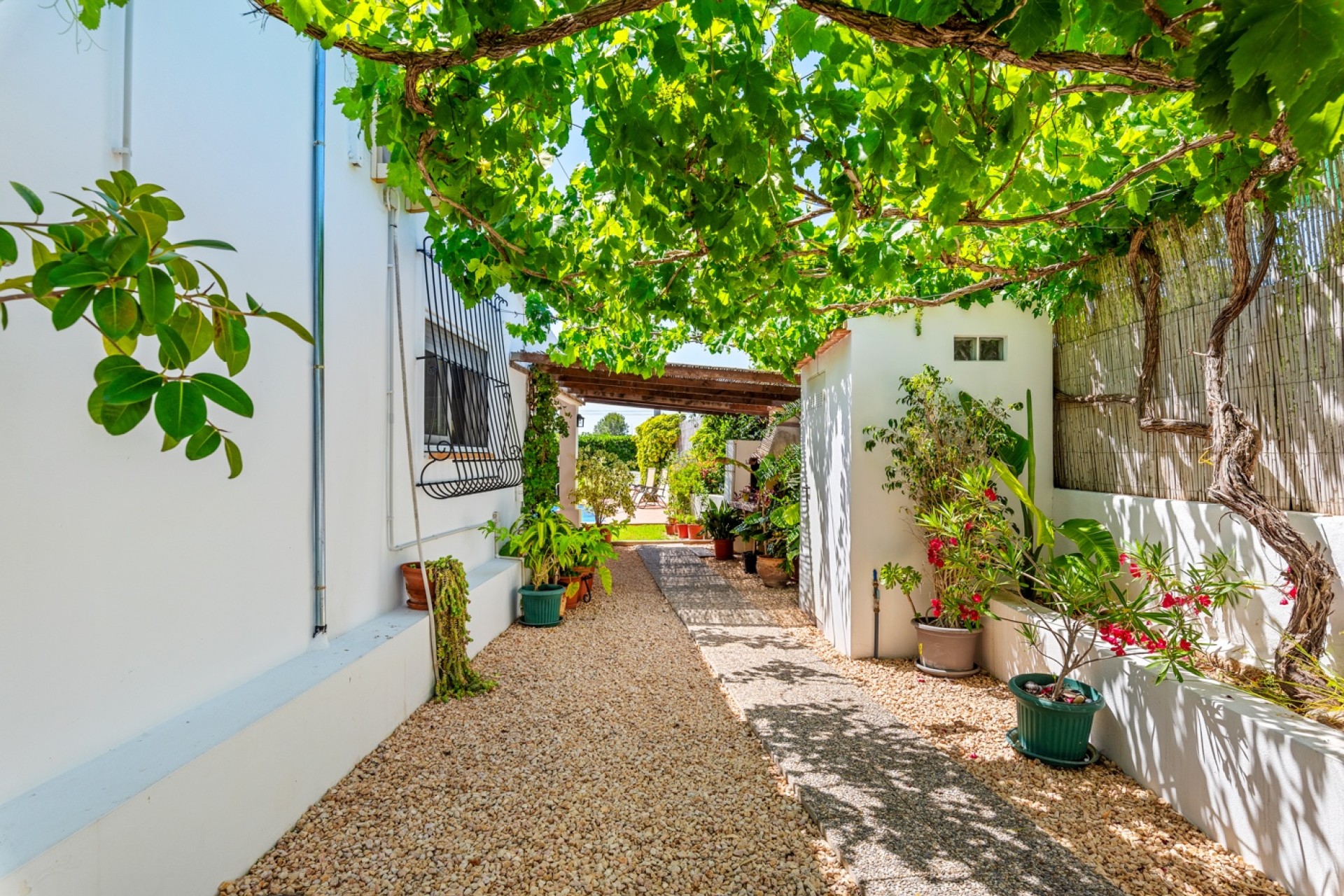 Sale - Country estate - Benijófar