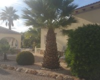 Sale - Country estate - Daya Vieja