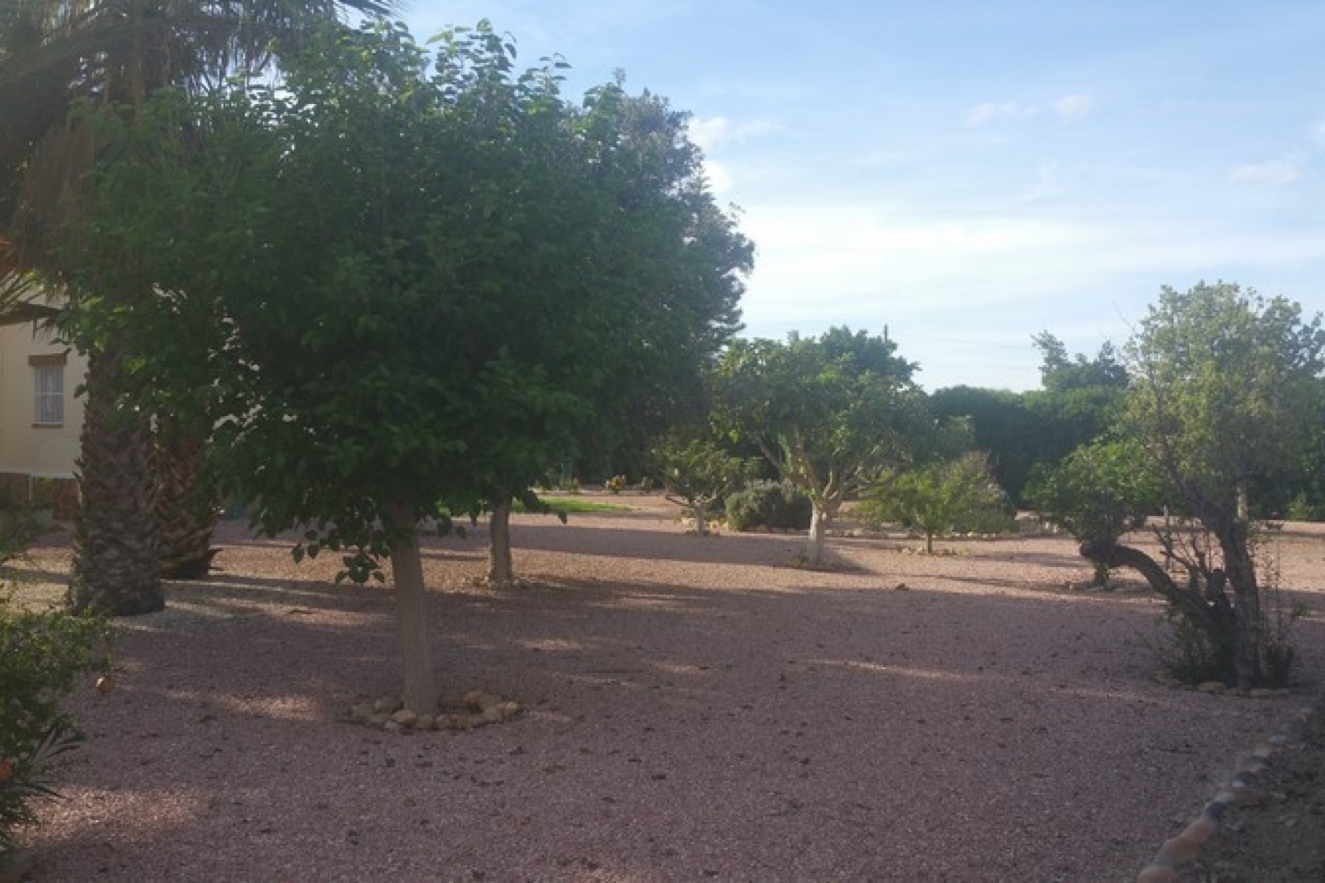 Sale - Country estate - Daya Vieja