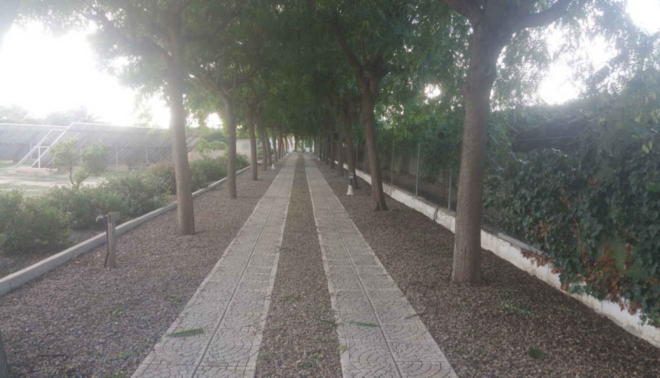 Sale - Country estate - Daya Vieja