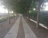 Sale - Country estate - Daya Vieja