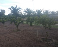 Sale - Country estate - Daya Vieja