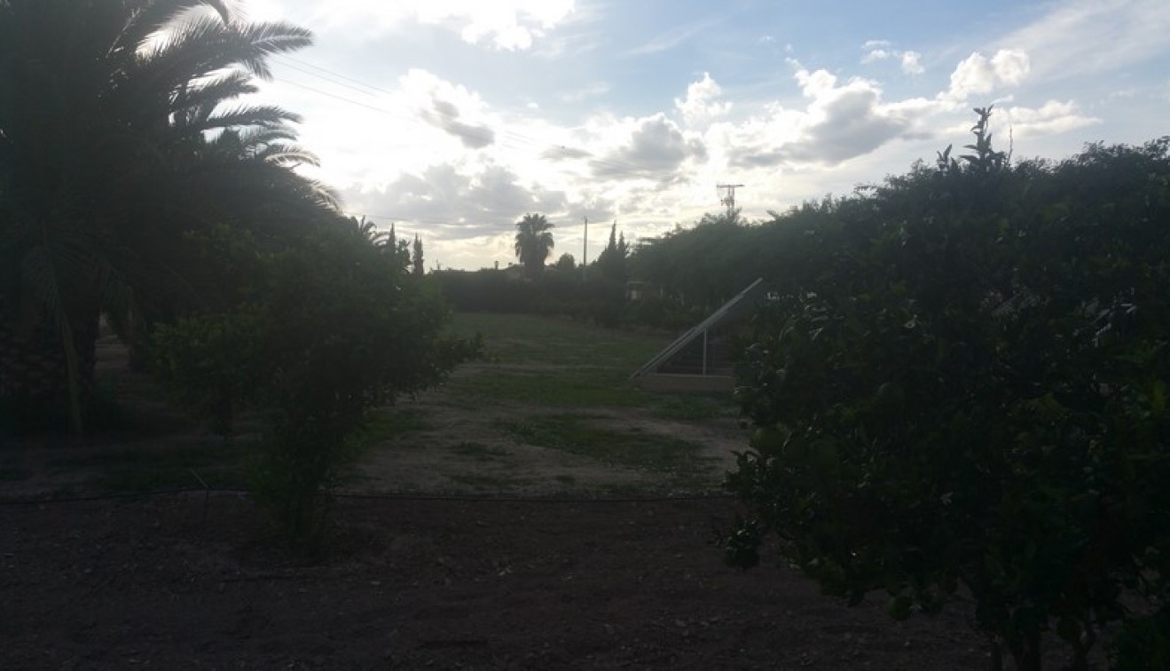 Sale - Country estate - Daya Vieja