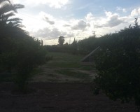 Sale - Country estate - Daya Vieja