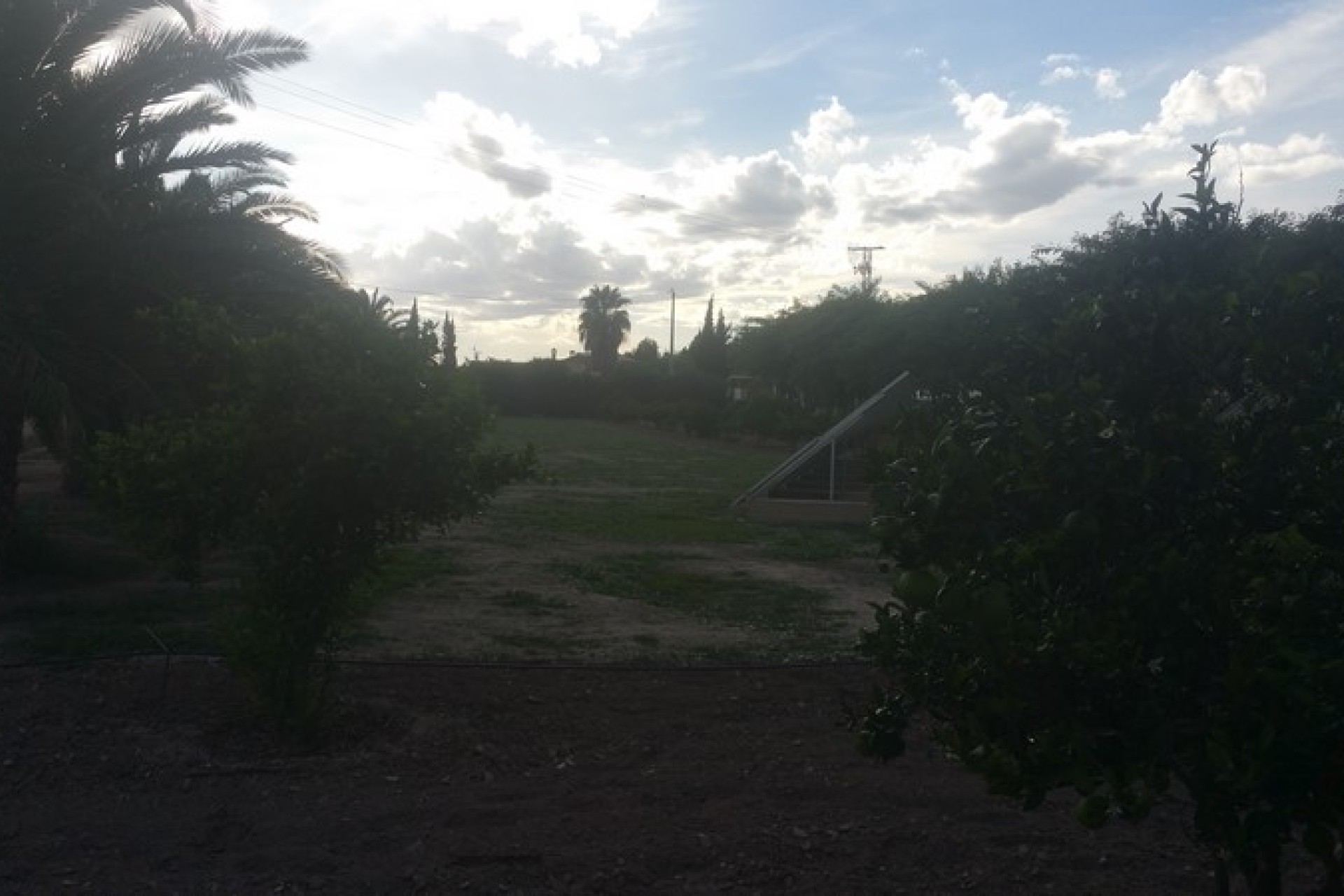 Sale - Country estate - Daya Vieja