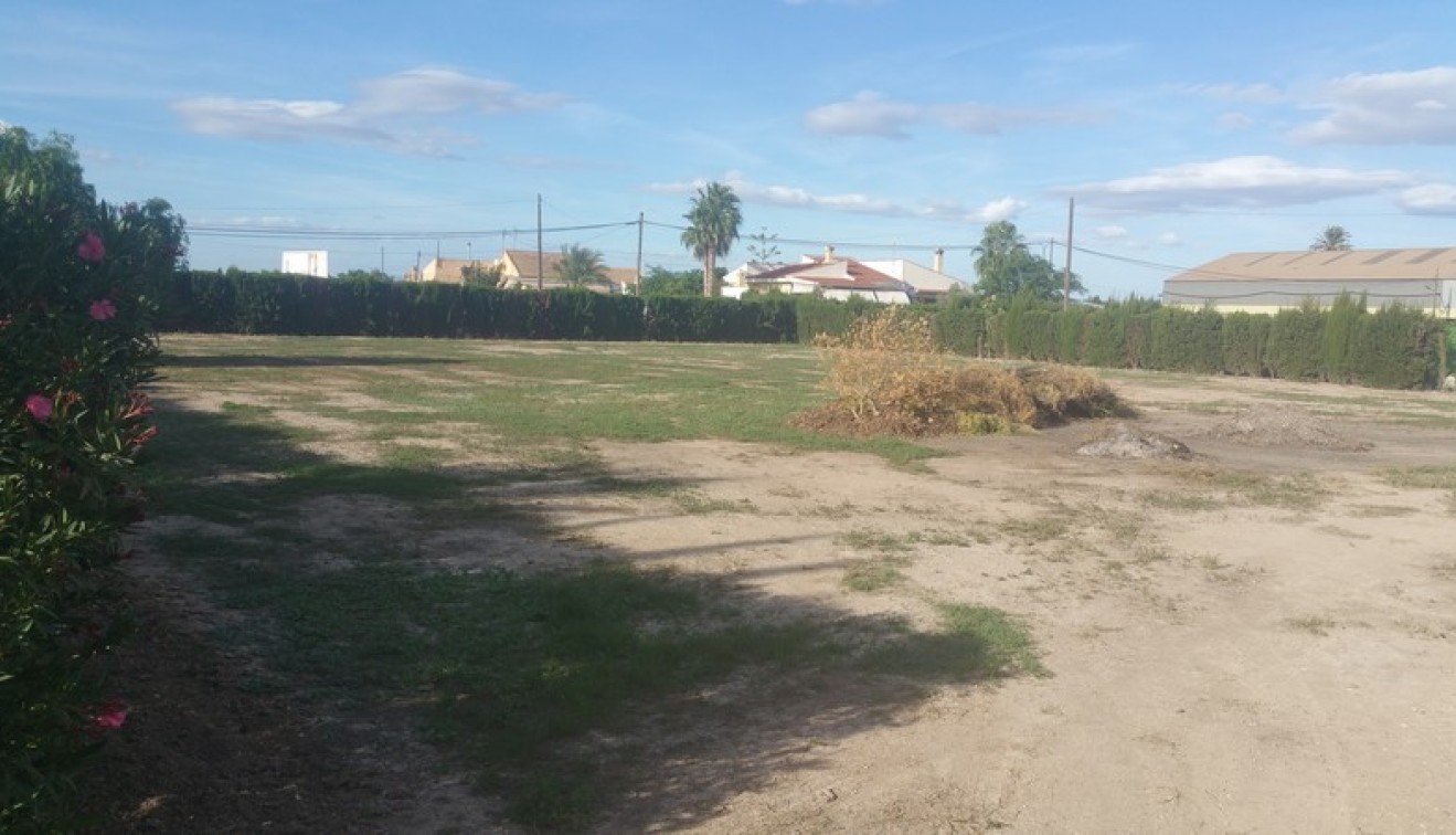 Sale - Country estate - Daya Vieja