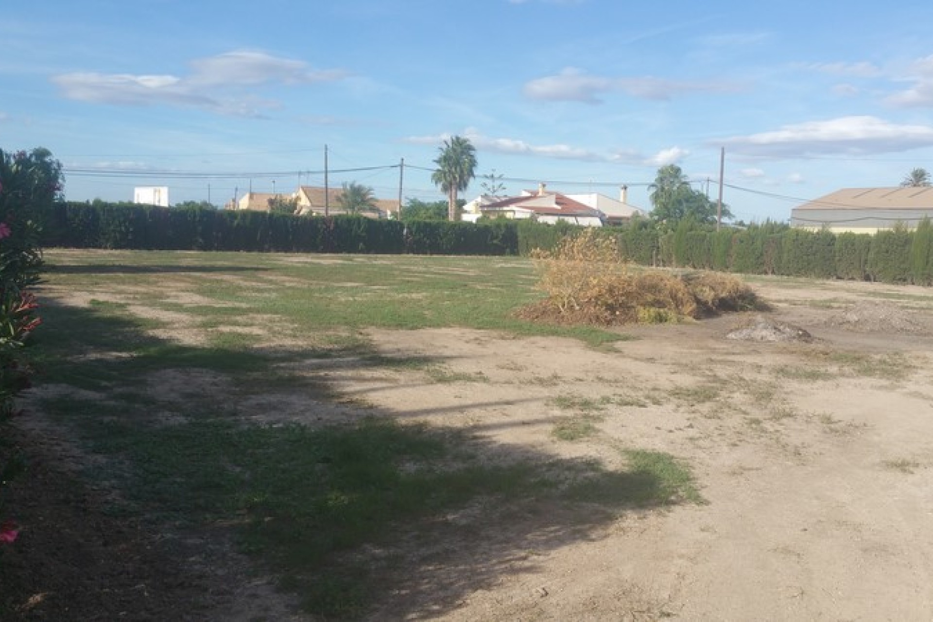 Sale - Country estate - Daya Vieja