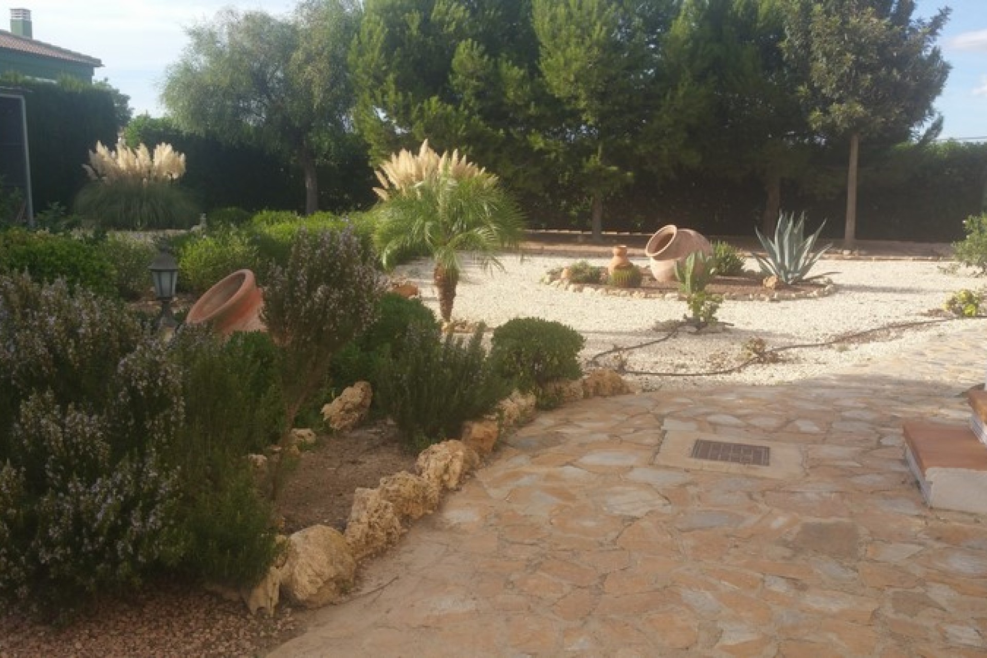 Sale - Country estate - Daya Vieja