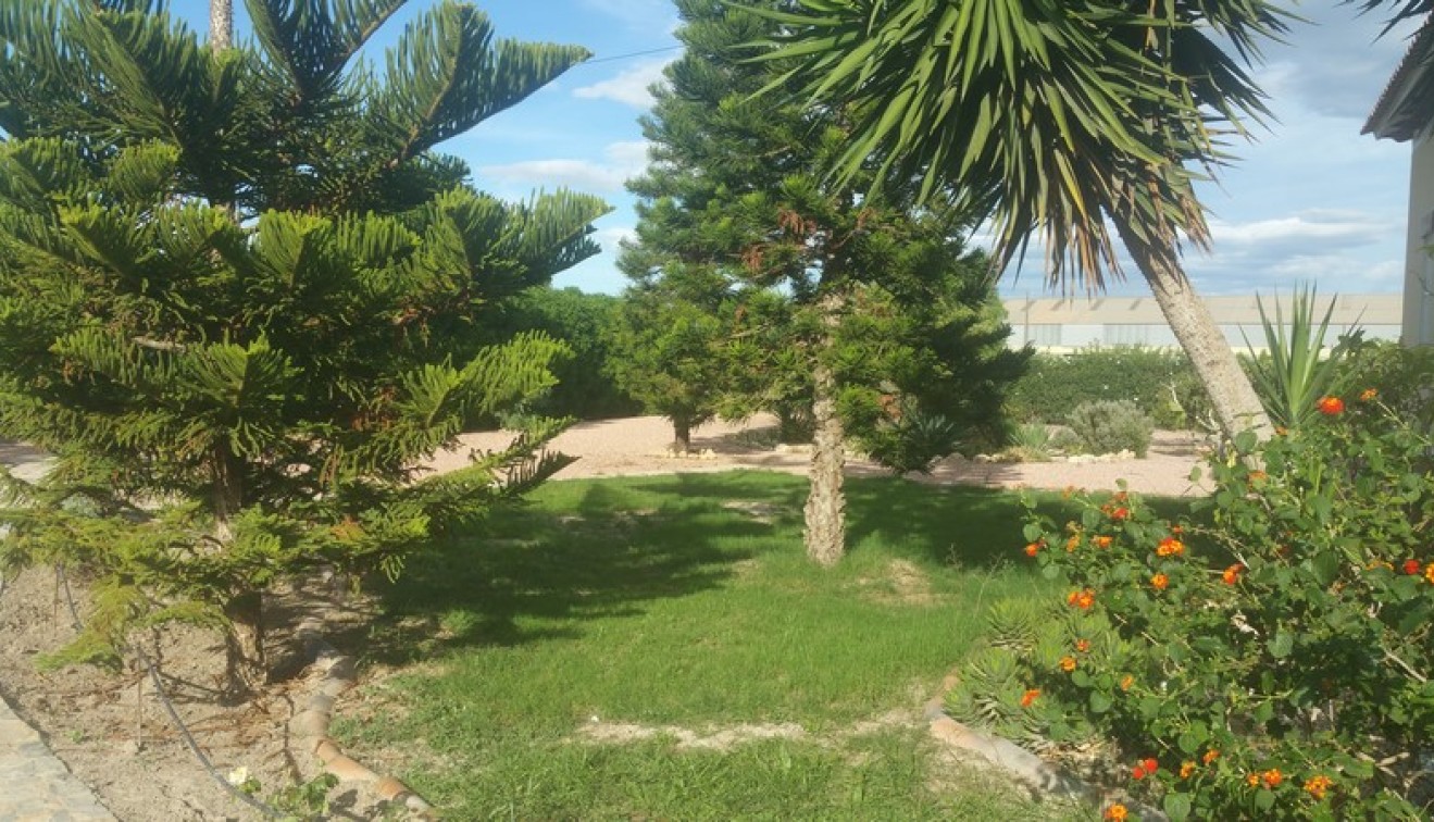 Sale - Country estate - Daya Vieja