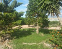 Sale - Country estate - Daya Vieja