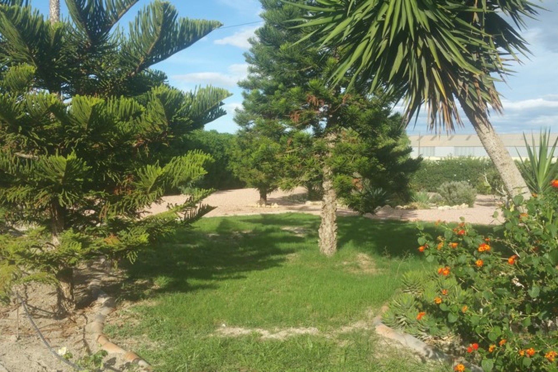 Sale - Country estate - Daya Vieja