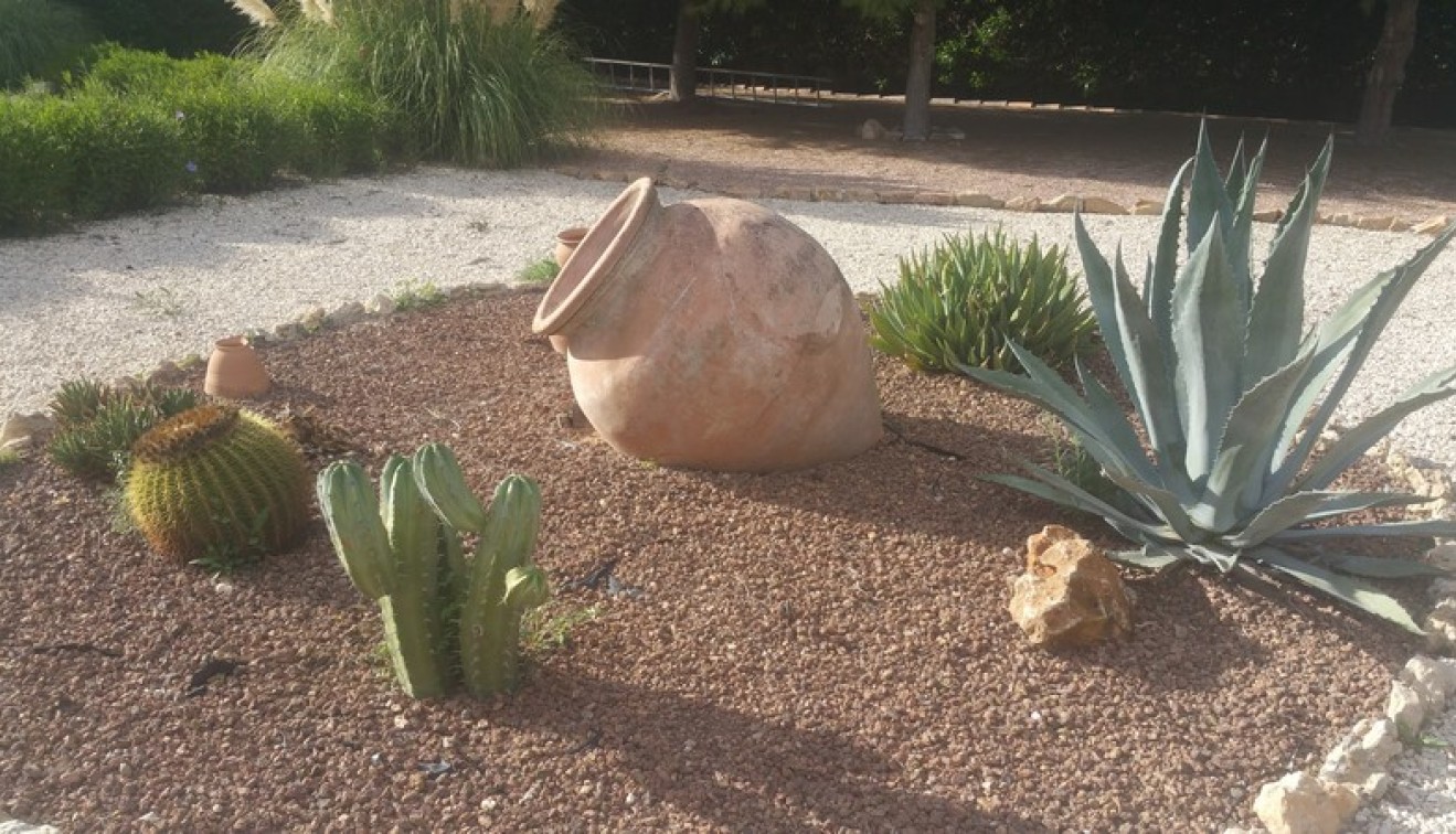 Sale - Country estate - Daya Vieja