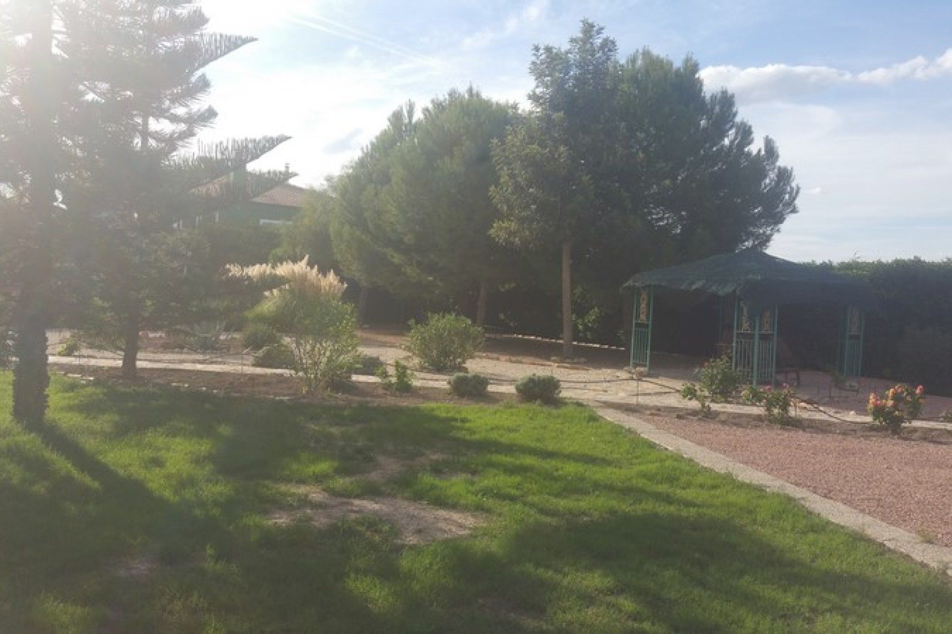 Sale - Country estate - Daya Vieja