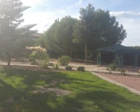 Sale - Country estate - Daya Vieja