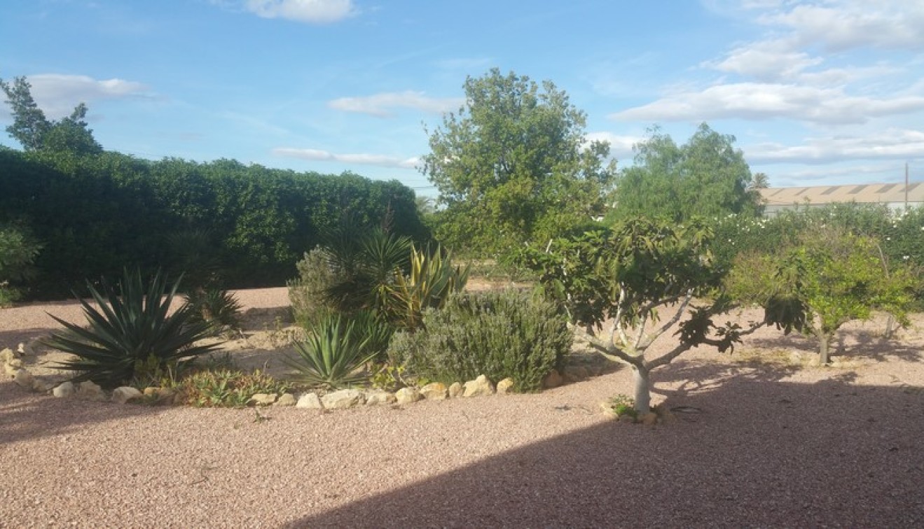 Sale - Country estate - Daya Vieja