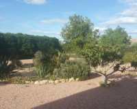 Sale - Country estate - Daya Vieja