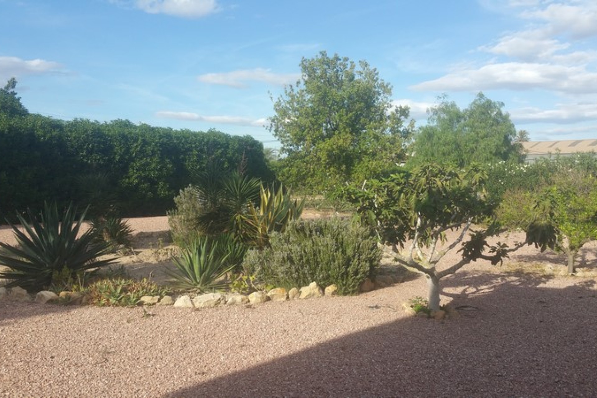 Sale - Country estate - Daya Vieja