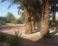 Sale - Country estate - Daya Vieja