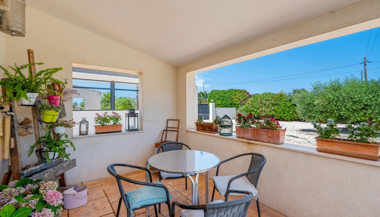 Sale - Country estate - Elche/Elx