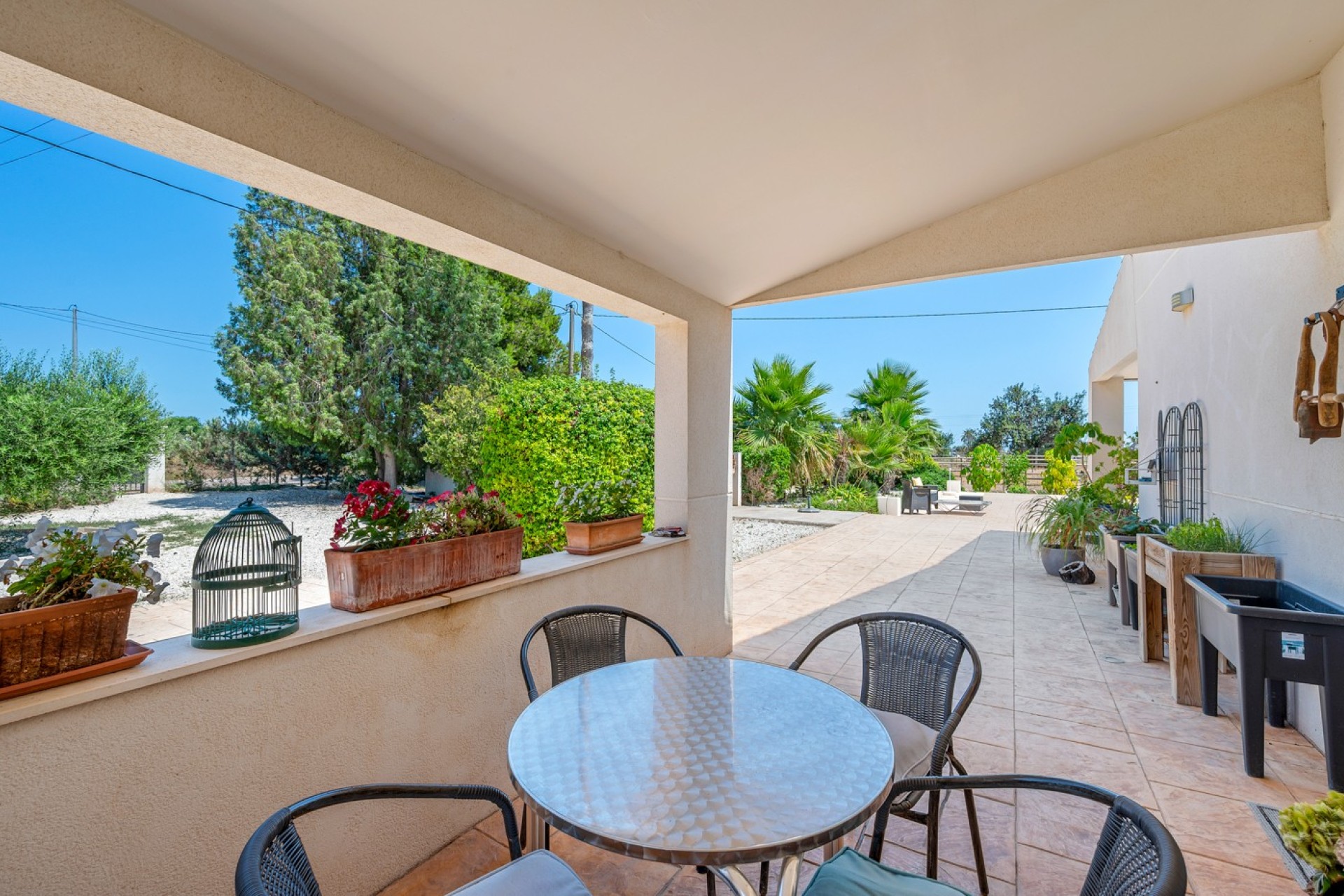 Sale - Country estate - Elche/Elx