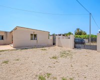 Sale - Country estate - Elche/Elx