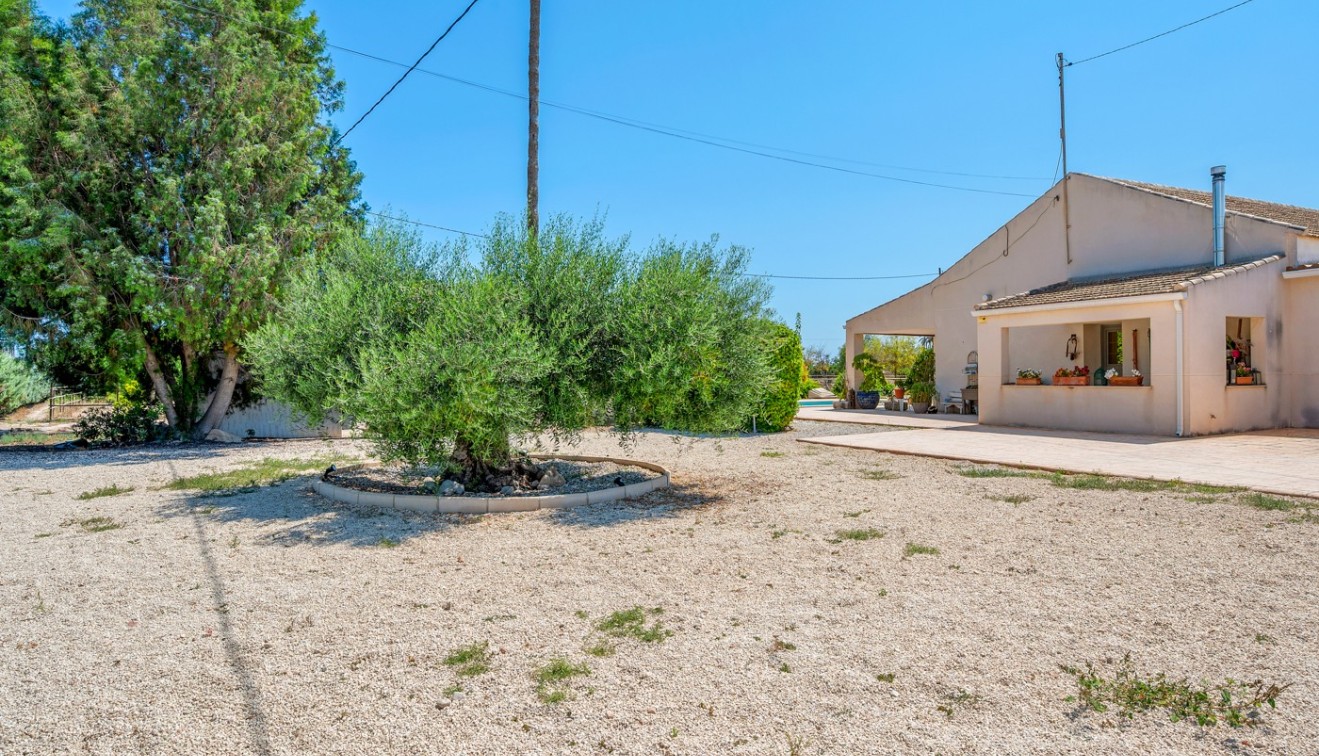 Sale - Country estate - Elche/Elx