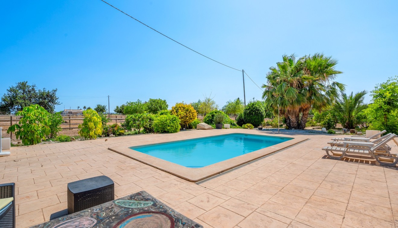 Sale - Country estate - Elche/Elx