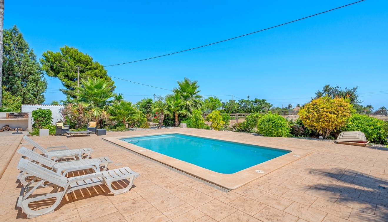 Sale - Country estate - Elche/Elx