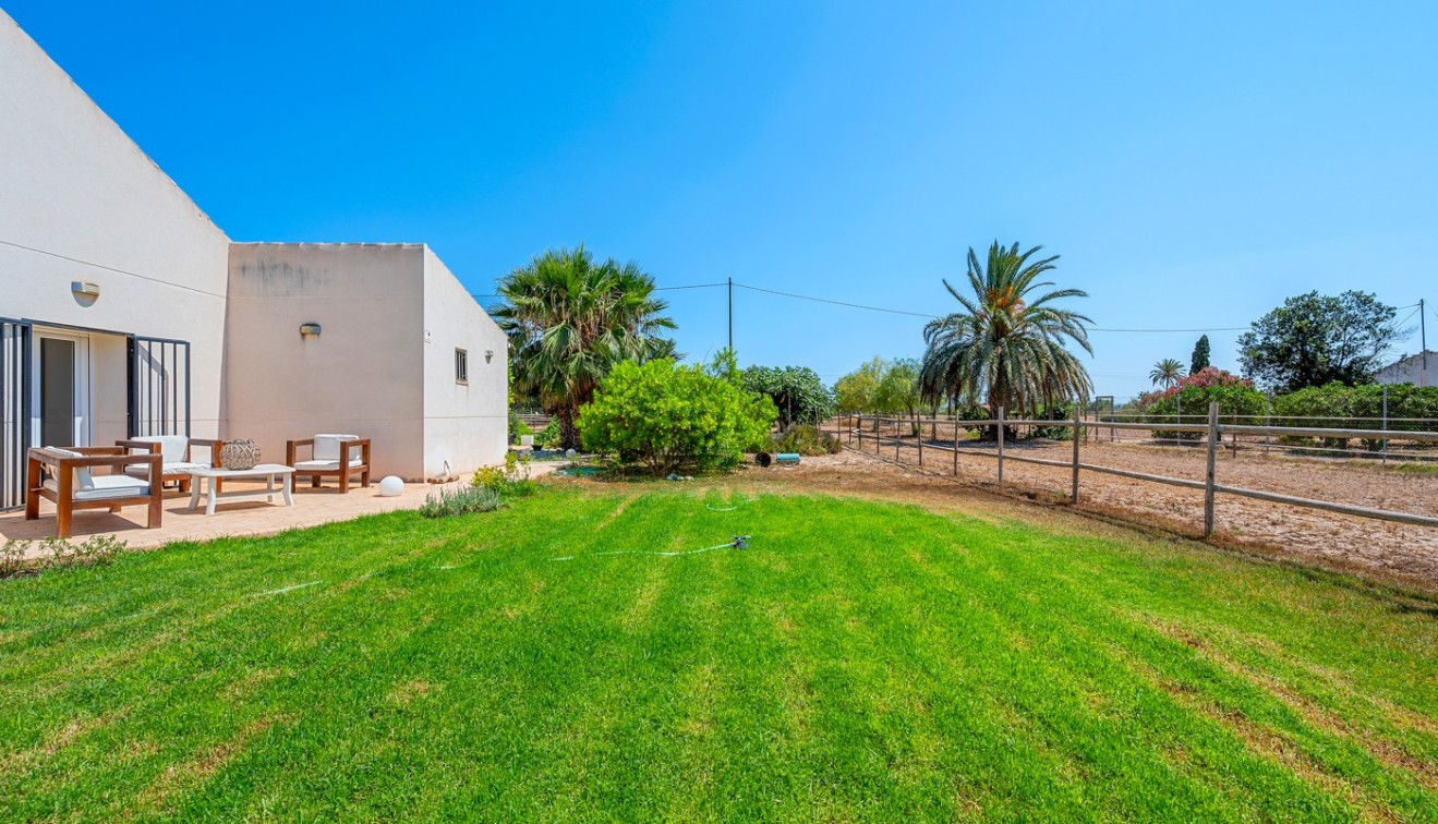 Sale - Country estate - Elche/Elx