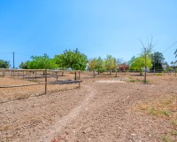 Sale - Country estate - Elche/Elx