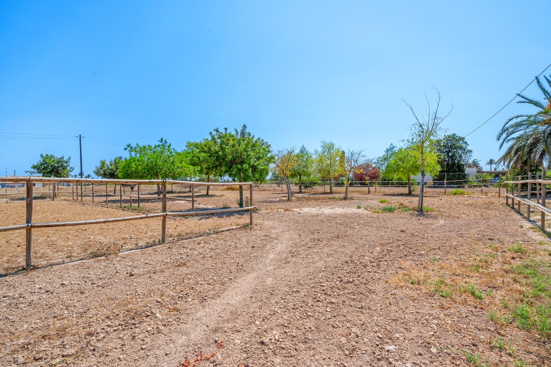 Sale - Country estate - Elche/Elx