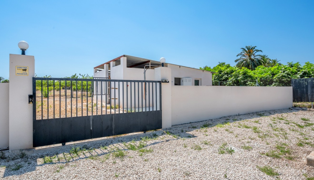 Sale - Country estate - Elche/Elx