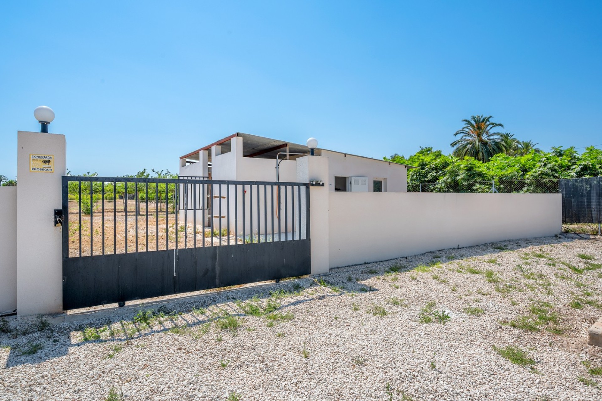Sale - Country estate - Elche/Elx